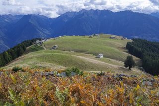 Panoramica estiva dell’alpeggio di Prato Maslino a 1600 metri in provincia di Sondrio
